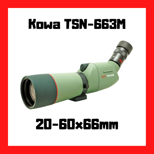 longue vue kowa tsn 663m 20-60x66mm